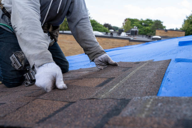 Best Roof Waterproofing Services  in Otsego, MI