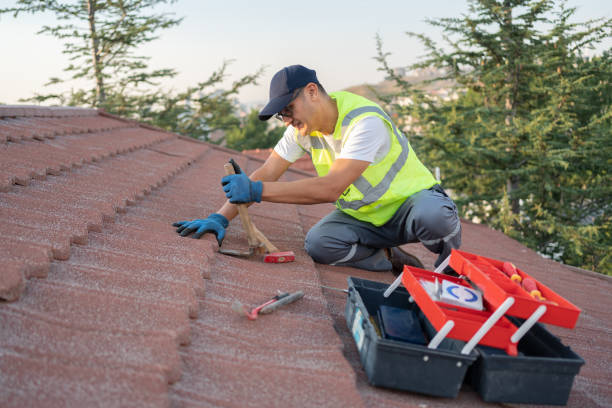 Best Commercial Roofing Services  in Otsego, MI