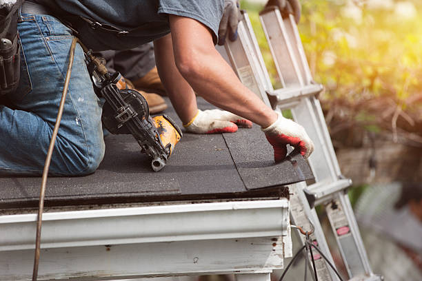 Best Residential Roof Replacement  in Otsego, MI