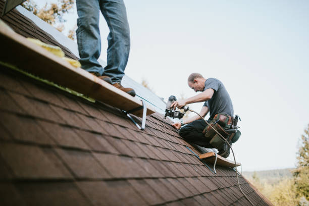 Best Best Roofing Contractors  in Otsego, MI