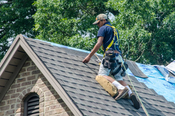 Best Roof Gutter Cleaning  in Otsego, MI